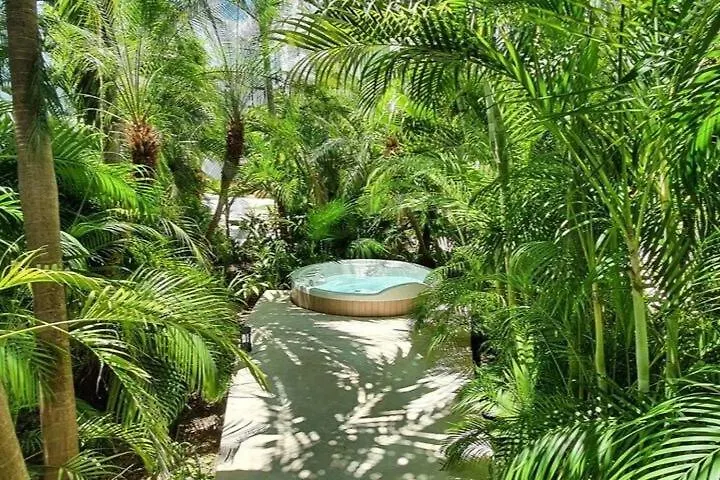 Penthouse Well Located And Wifi 50Mb - Downtown Area Apartment Playa del Carmen