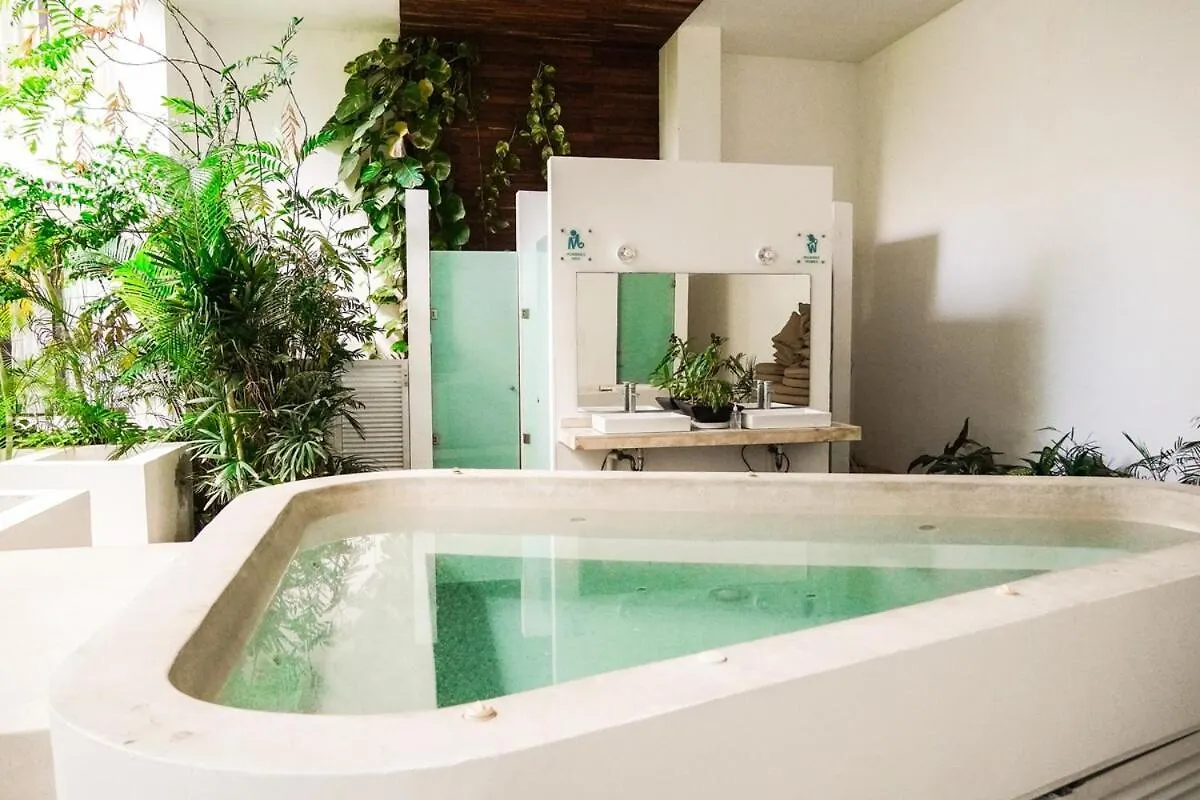 Penthouse Well Located And Wifi 50Mb - Downtown Area Apartment Playa del Carmen
