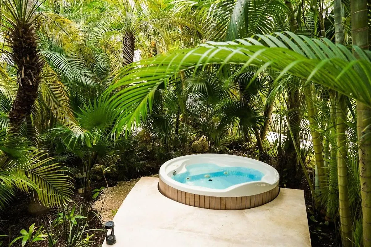 Penthouse Well Located And Wifi 50Mb - Downtown Area Apartment Playa del Carmen 0*,